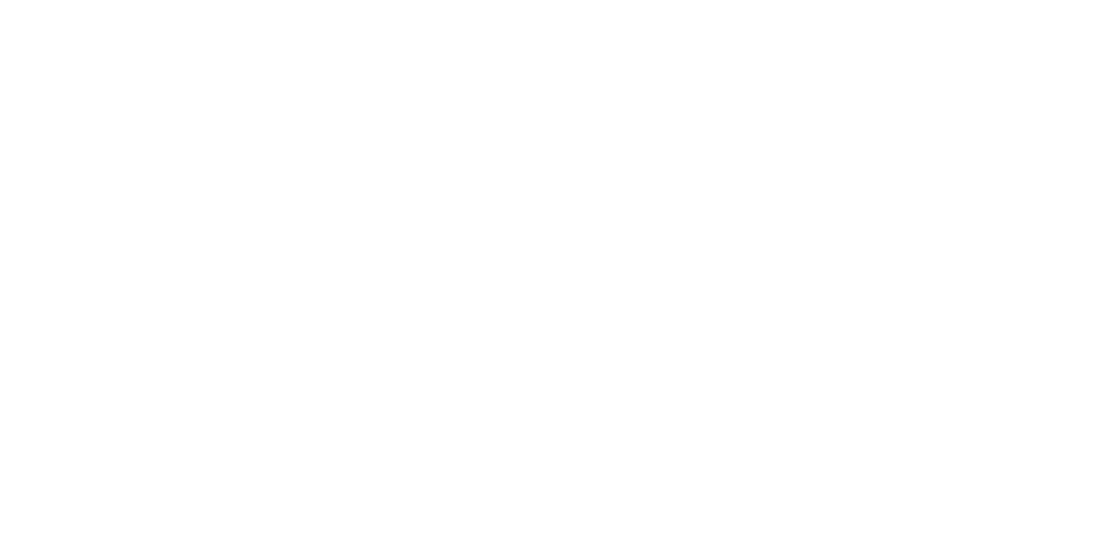 Fox_Dox_Logo_WEISS